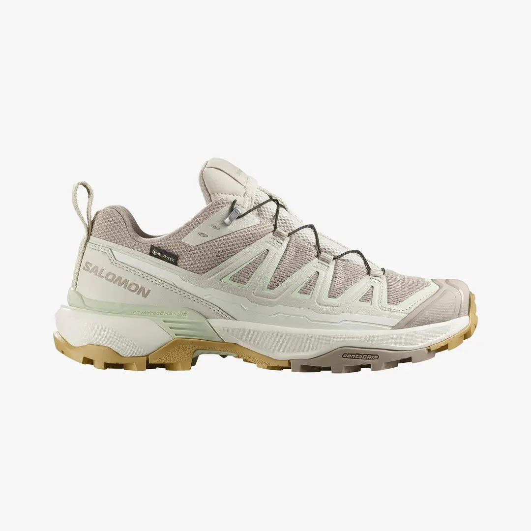 Salomon X Ultra 360 Edge GTX W Women's Shoes