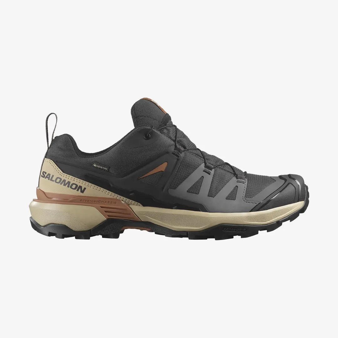 Salomon X Ultra 360 GTX Men's Shoes
