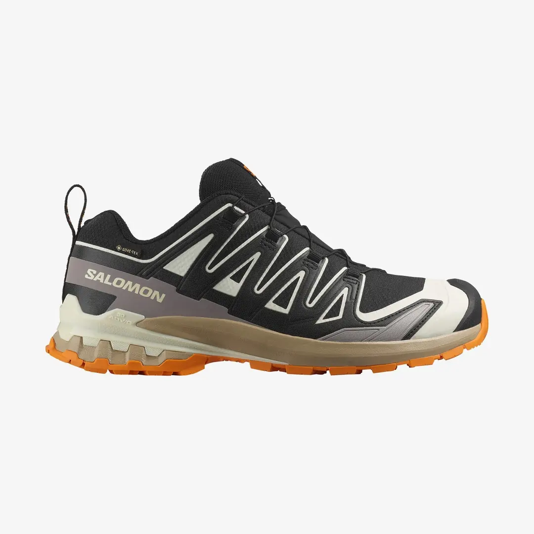 Salomon XA Pro 3D V9 GTX Men's Shoes