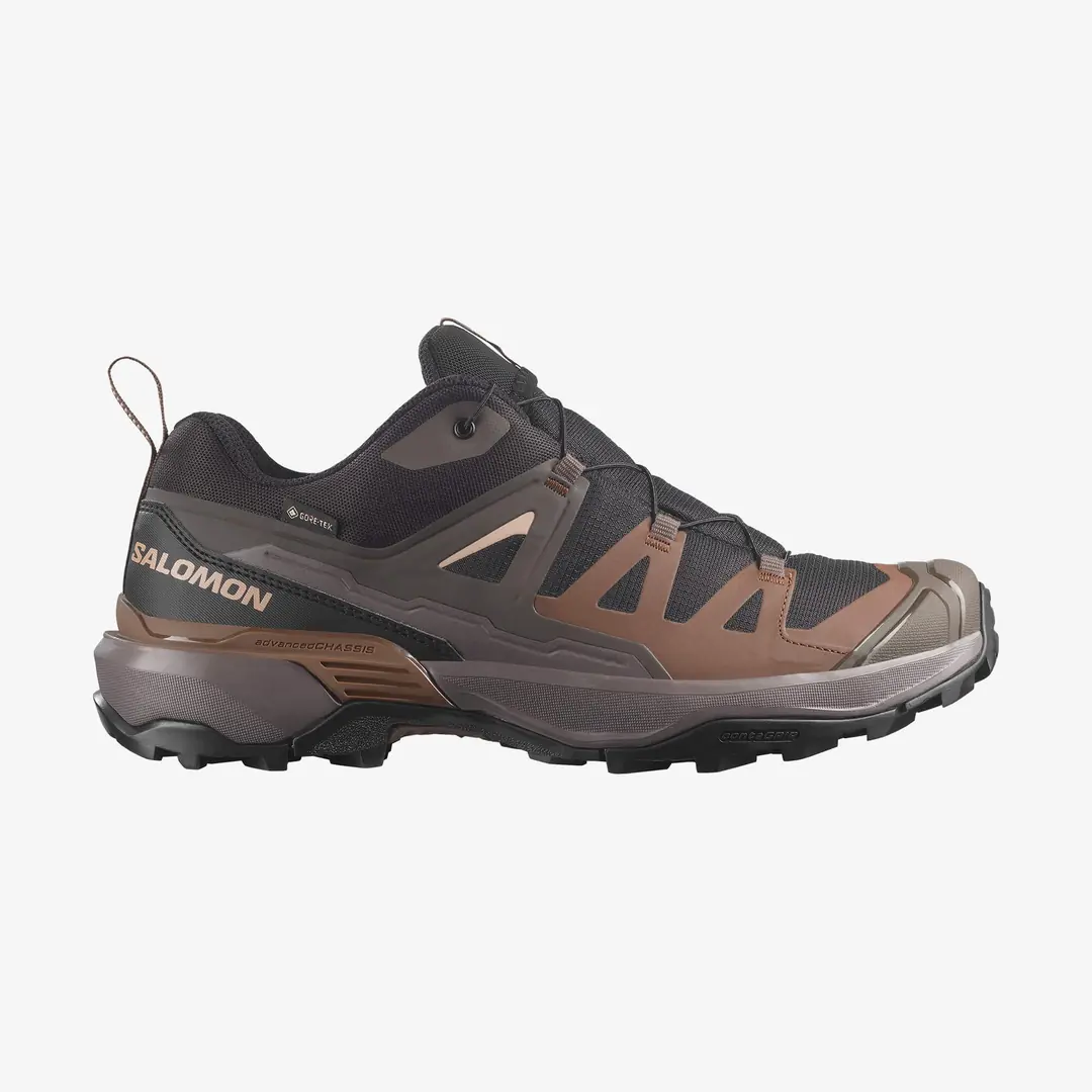 Salomon X Ultra 360 GTX Men's Outdoor Shoes