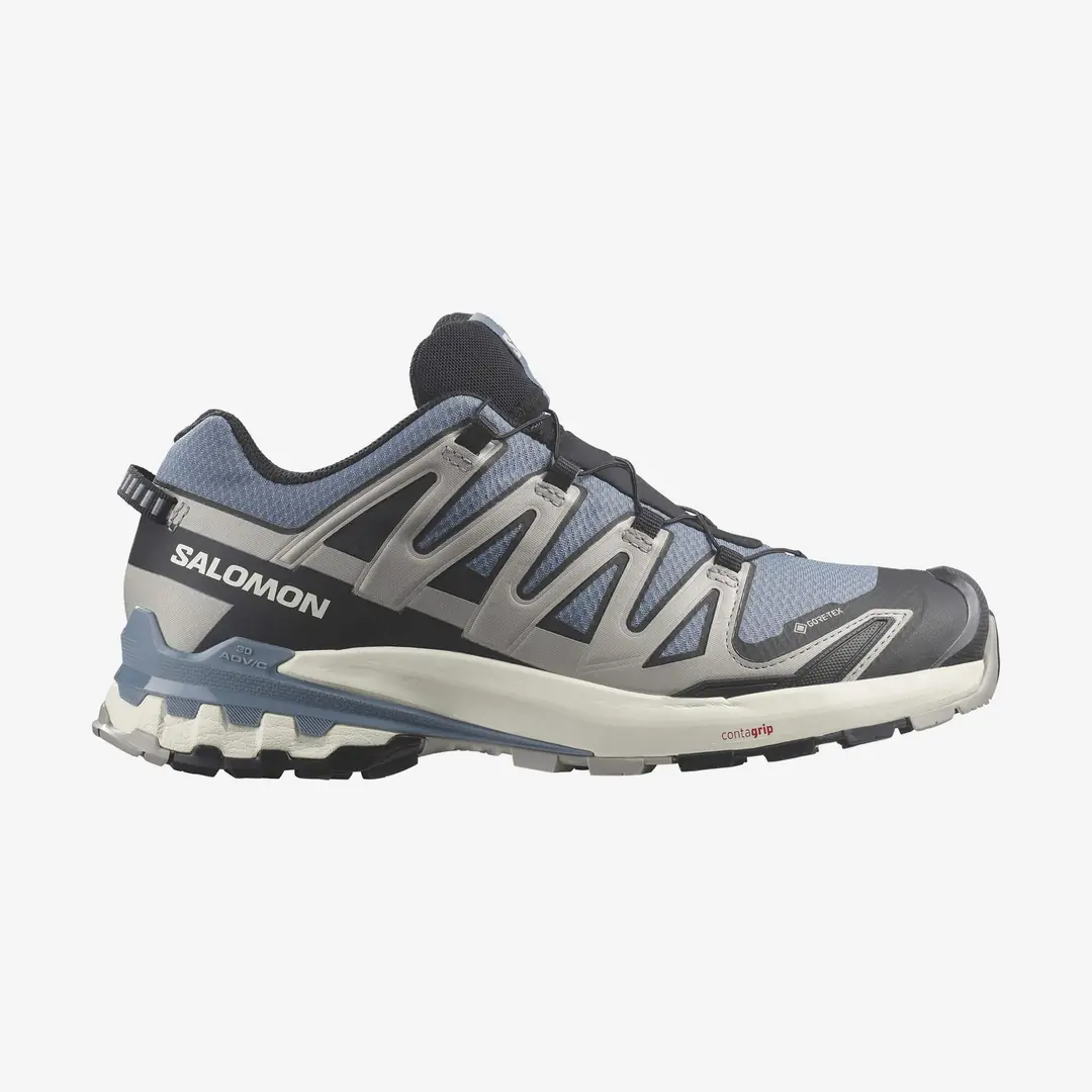 Salomon XA Pro 3D V9 GTX Men's Shoes
