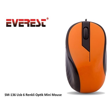 Everest SM-136 Usb 6 Renkli Optik Mini Mouse.