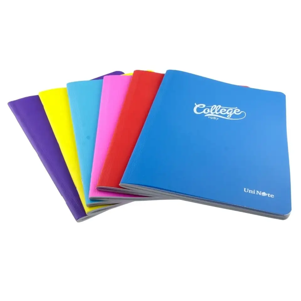 College A4 100-Sheet Lined School Notebook