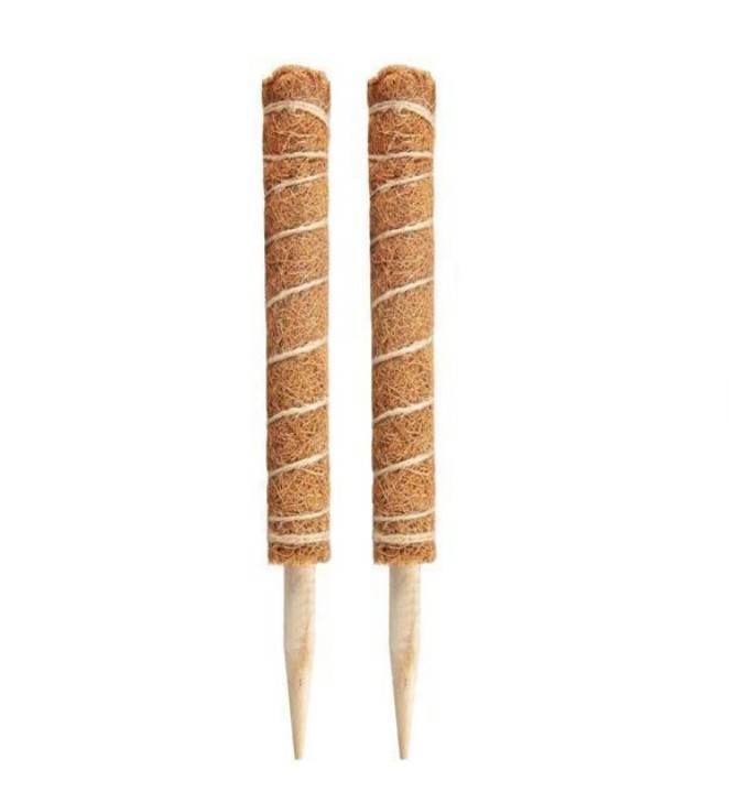 90 cm Plant Support Stake