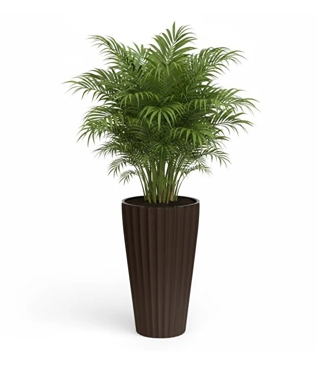 Serinova Lilyum NO2 Black 16 Litre Plant Pot Vase Set
