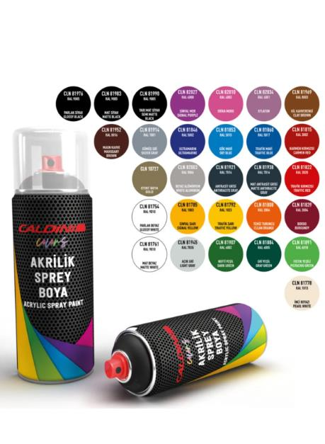 Caldini Anthracite Grey Spray Paint 400ML12AD/KOLİ