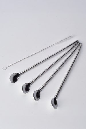 Steel Straw and Spoon Set, 4-Piece