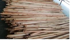 Broom Handle
