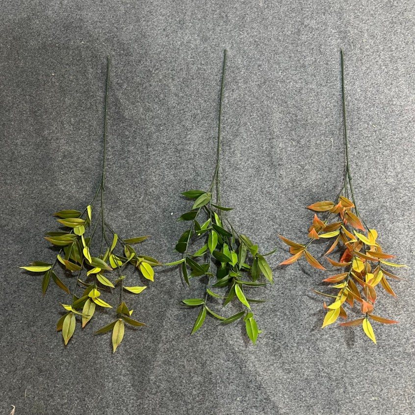 Artificial Ruscus Plant