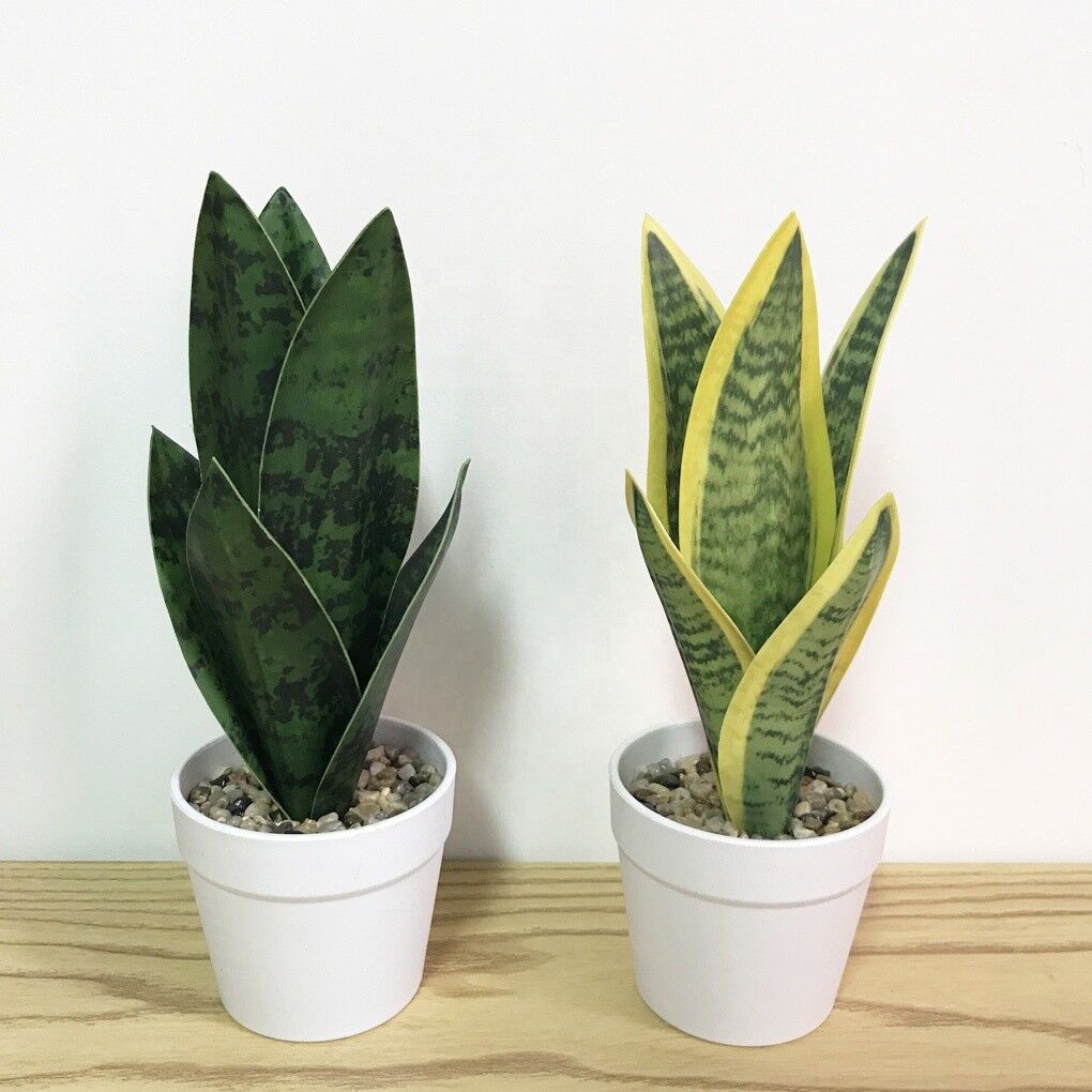 Artificial Snake Plant No:2 with Paper Pulp Pot