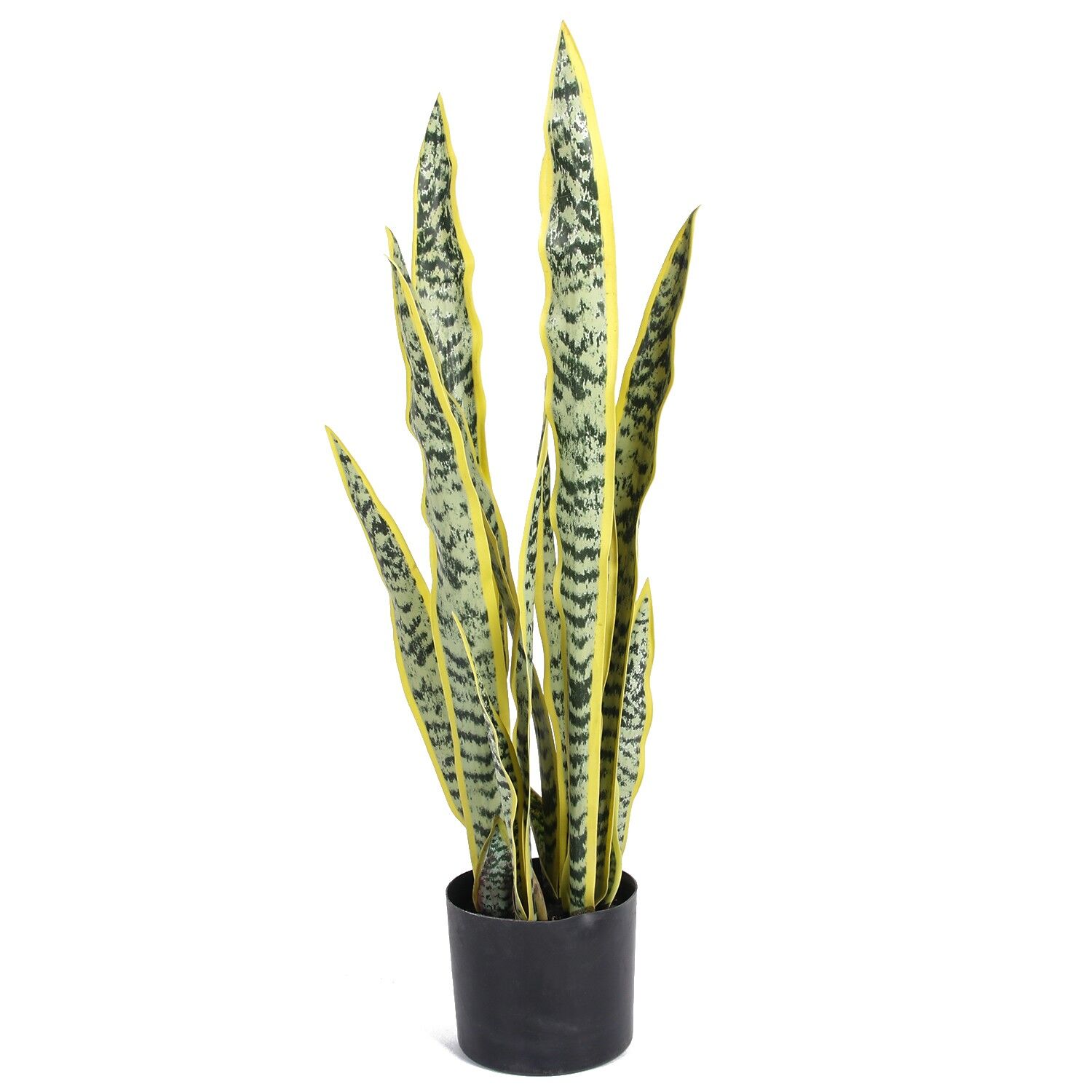 Apay Paşa Kılıcı Saksili 68 cm Sarı Tonlu