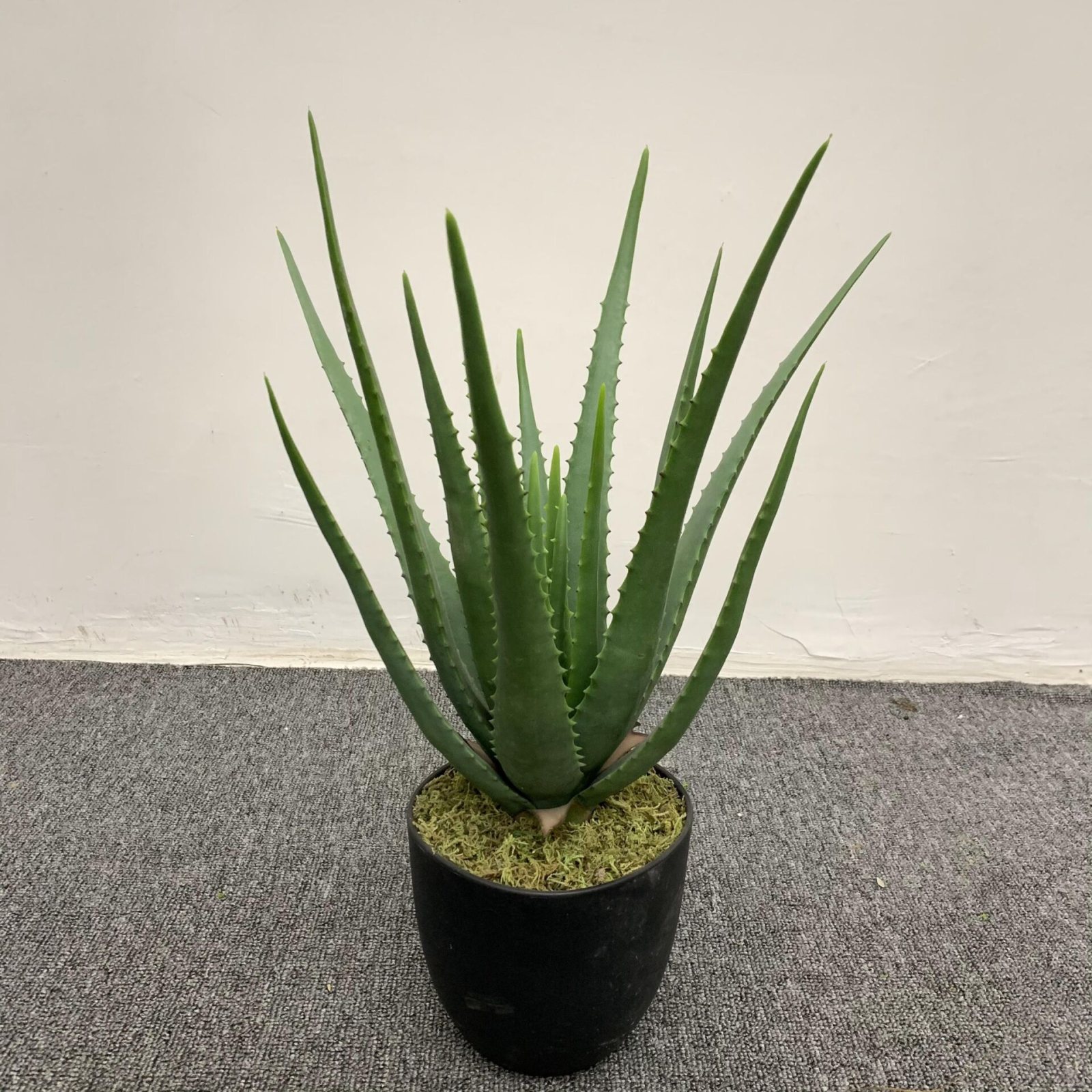Medium Artificial Aloe Vera Plant
