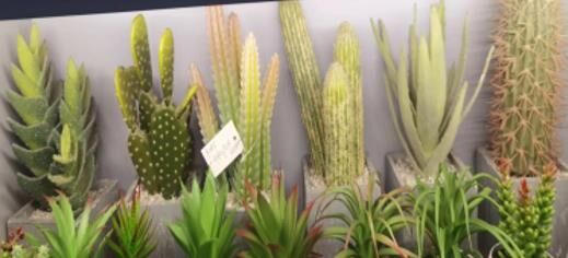 Yapay Kaktüs Çöl Saksı 22cm