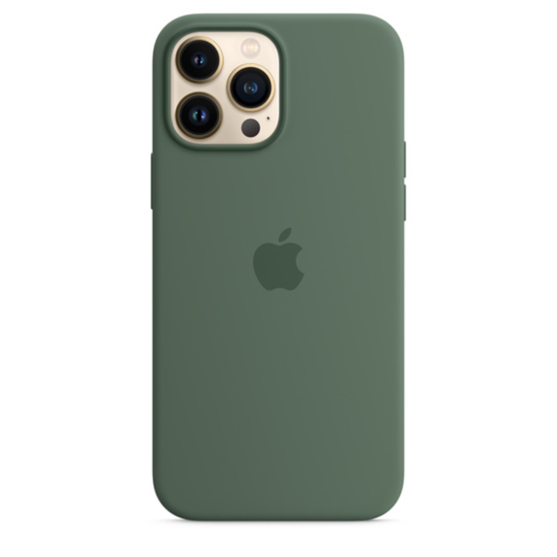 iPhone 13 Pro Max Okaliptus Kılıf