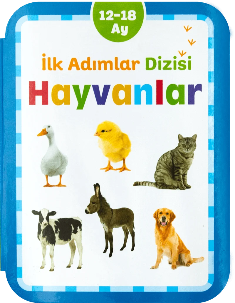 Hayvanlar 12-18 Ay İlk Adımlar