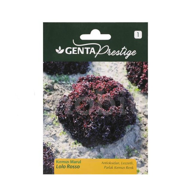 GENTA Prestige Lolo Rosso Kırmızı Marul Tohumu