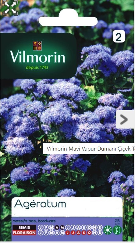 Vilmorin Mavi Vapur Dumanı Çiçek Tohumu 0,3 gr
