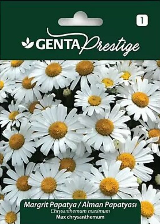 Genta Prestige Margrit Papatya Alman Papatyası Çiçek Tohumu 0,8 gr