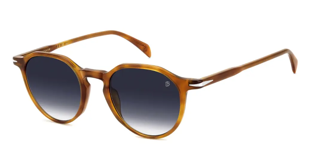 Brown Acetate Sunglasses DB 1217/S