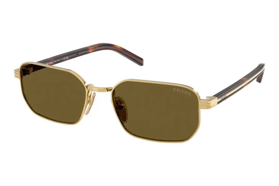 Brown Gold Metal Sunglasses PR D62S